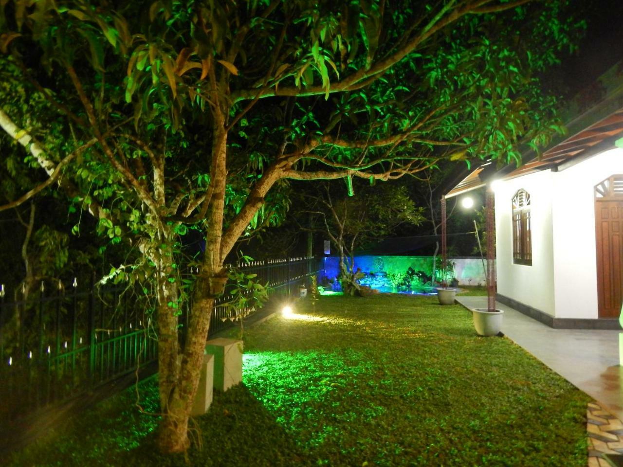 Nenasilu - Sri Lankan Villa Hapugala Exterior photo